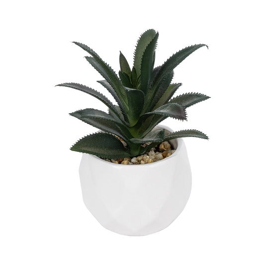 SUCCULENT ALOE POTTED PLANT 20983 Διακοσμητικό Φυτό Αλόης Φ9 x Υ12cm