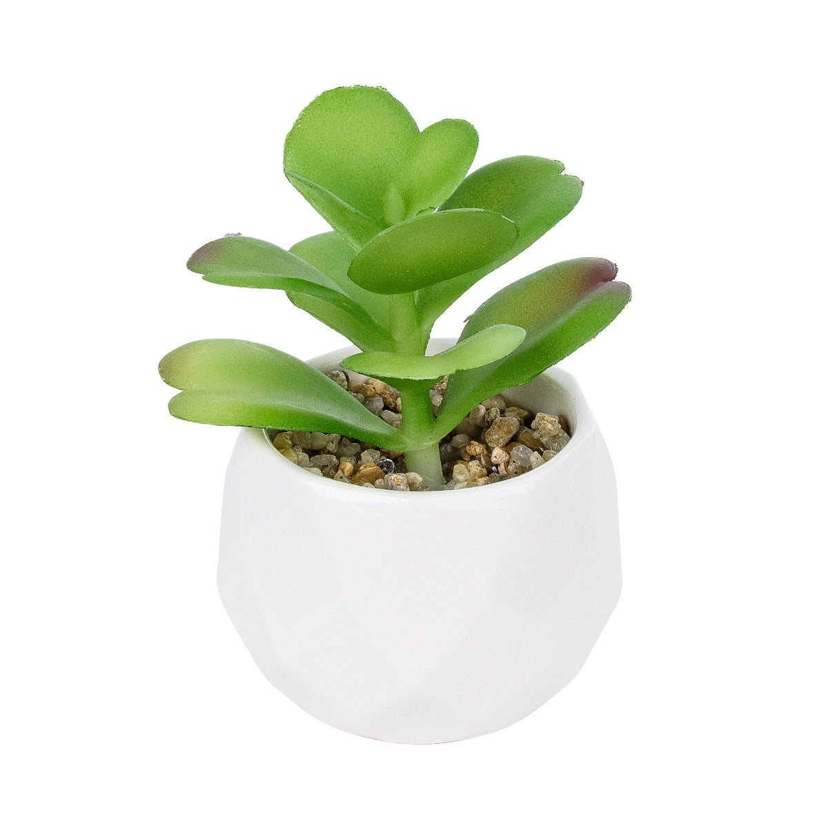 SUCCULENT KALANCHOE POTTED PLANT 20995 Διακοσμητικό Φυτό Καλαχόη Φ8 x Υ10cm