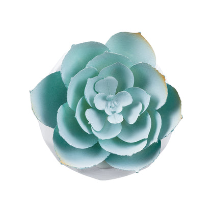 SUCCULENT ECHEVERIA 20996 Διακοσμητικό Φυτό Παχύφυτο Εχεβέρια Υ7cm