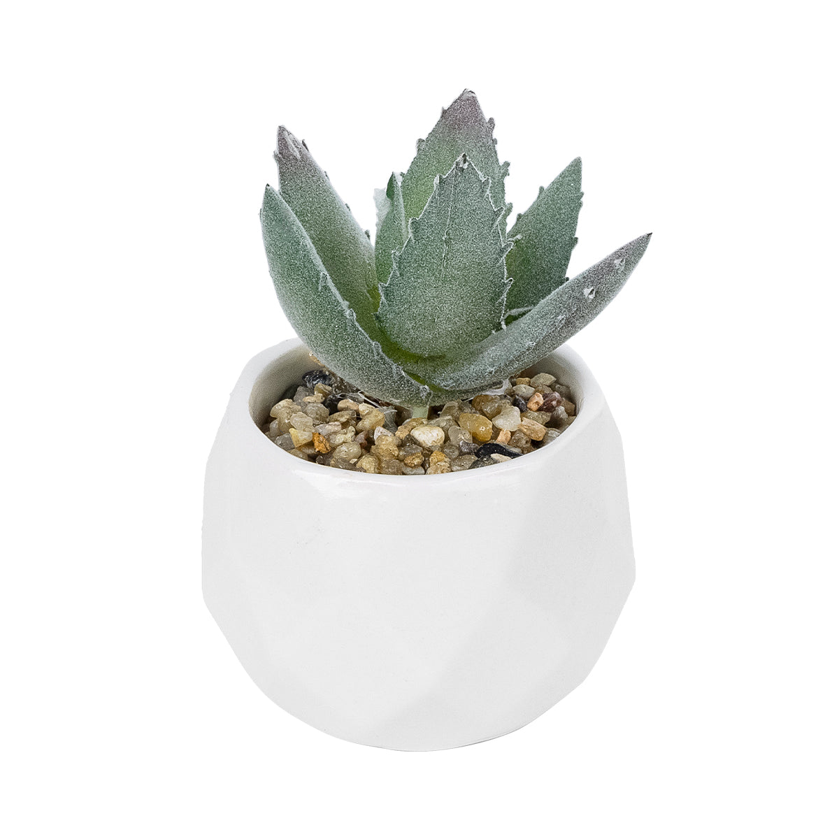 SUCCULENT ALOE POTTED PLANT 20999 Διακοσμητικό Φυτό Αλόη Φ7 x Υ9cm