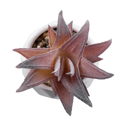 SUCCULENT ALOE 21006 Διακοσμητικό Φυτό Παχύφυτο Αλόη Υ10cm