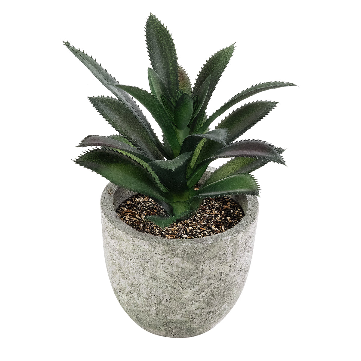 SUCCULENT ALOE 21011 Διακοσμητικό Φυτό Παχύφυτο Αλόη Υ13cm