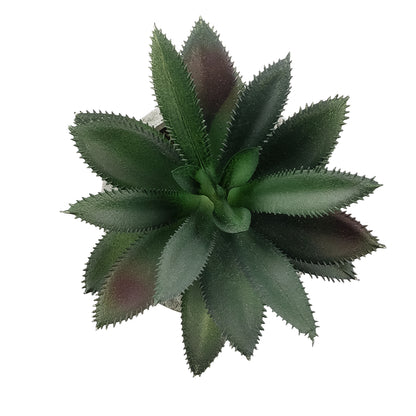 SUCCULENT ALOE 21011 Διακοσμητικό Φυτό Παχύφυτο Αλόη Υ13cm