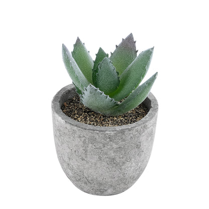 SUCCULENT ALOE 21026 Διακοσμητικό Φυτό Παχύφυτο Αλόη Υ10.5cm