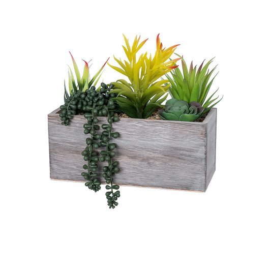 SUCCULENT VARIUS PLANT POTTED 21034 Διακοσμητικό Φυτό Μίξ Μ23 x Π13 x Υ23cm