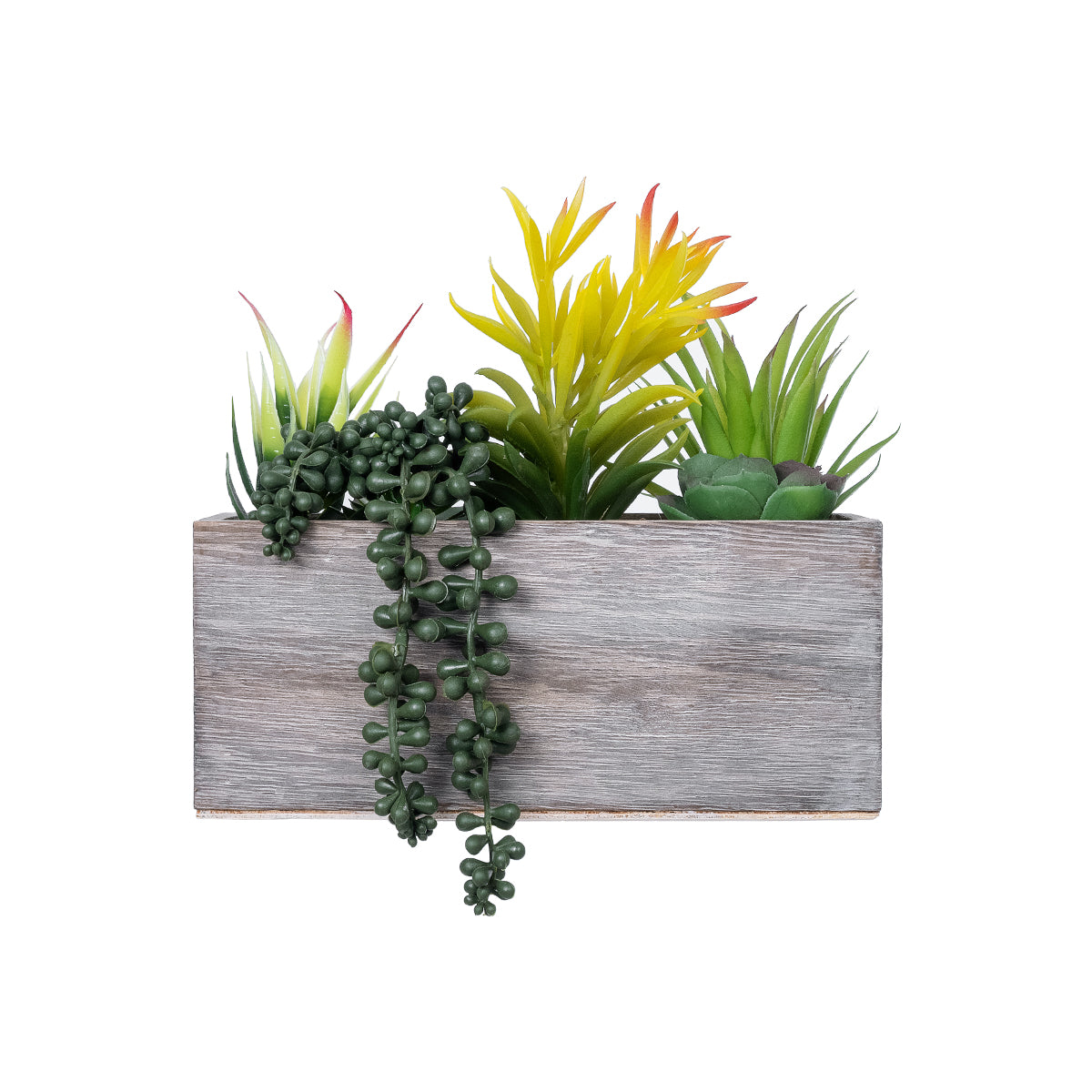 SUCCULENT VARIUS PLANT POTTED 21034 Διακοσμητικό Φυτό Μίξ Μ23 x Π13 x Υ23cm