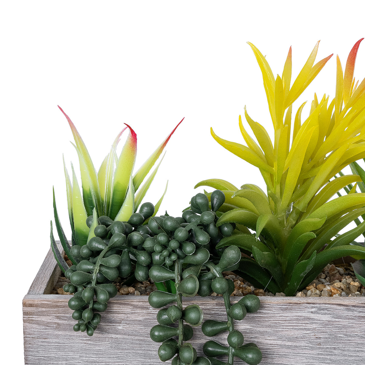 SUCCULENT VARIUS PLANT POTTED 21034 Διακοσμητικό Φυτό Μίξ Μ23 x Π13 x Υ23cm