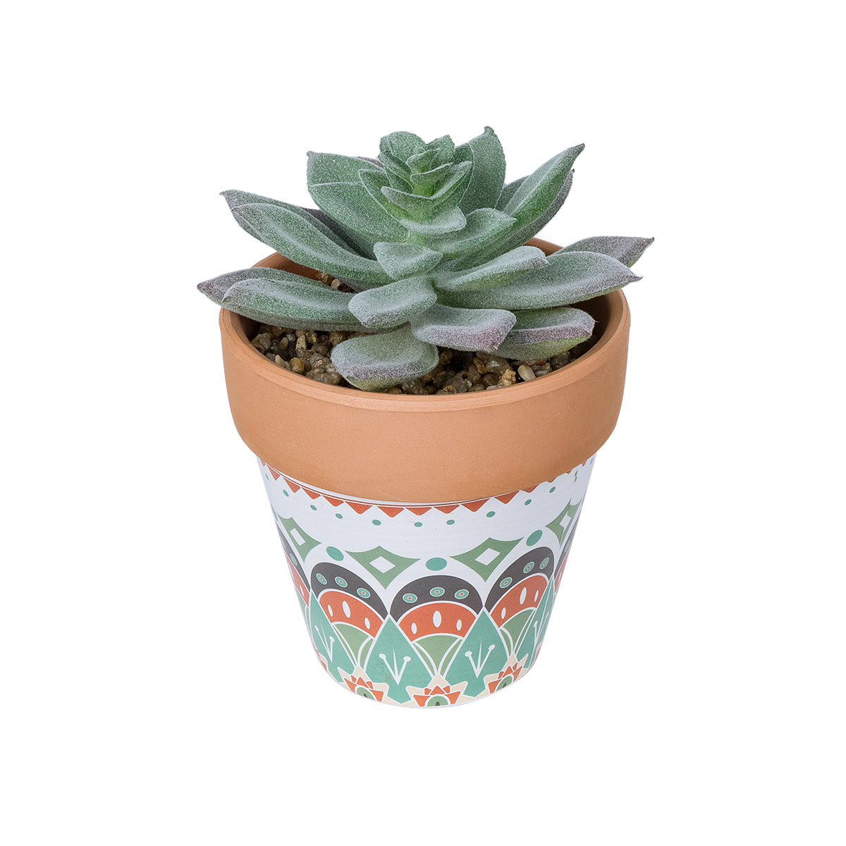 SUCCULENT SEDEVERIA POTTED PLANT 21041 Διακοσμητικό Φυτό Σεδεβέρια Φ11x Υ14cm