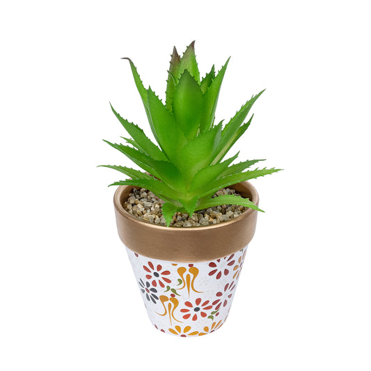 SUCCULENT ALOE POTTED PLANT 21044 Διακοσμητικό Φυτό Αλόη Φ12 x Υ16cm