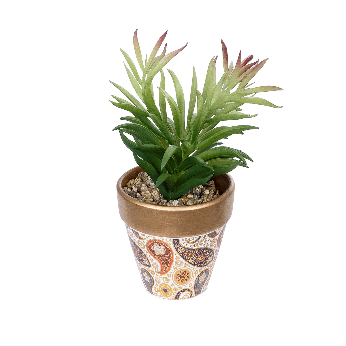 SUCCULENT CRASSULA POTTED PLANT 21046 Διακοσμητικό Φυτό Κρασούλα Φ12 x Υ20cm