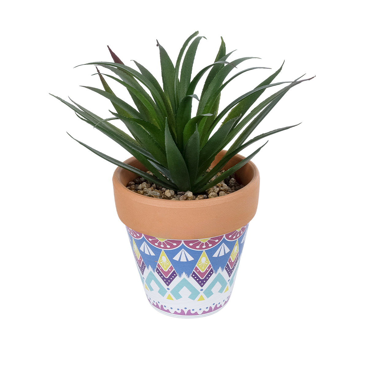 SUCCULENT SANSEVIERIA POTTED PLANT 21047 Διακοσμητικό Φυτό Σανσεβιέρια Φ16x Υ20cm