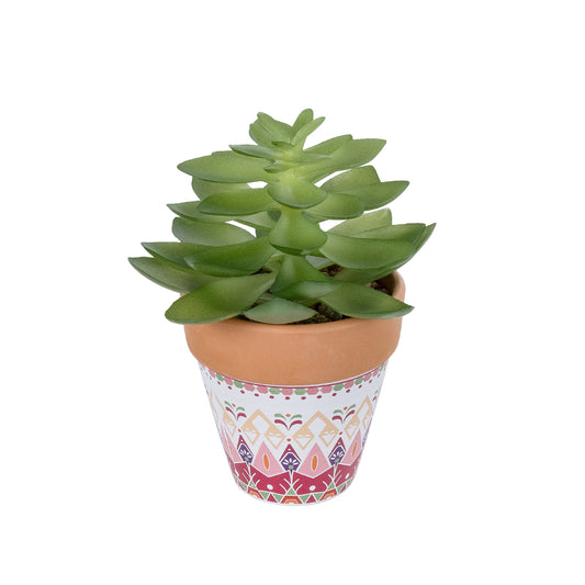 SUCCULENT ECHEVERIA POTTED PLANT 21048 Διακοσμητικό Φυτό Εχεβέρια Φ13 x Υ18cm