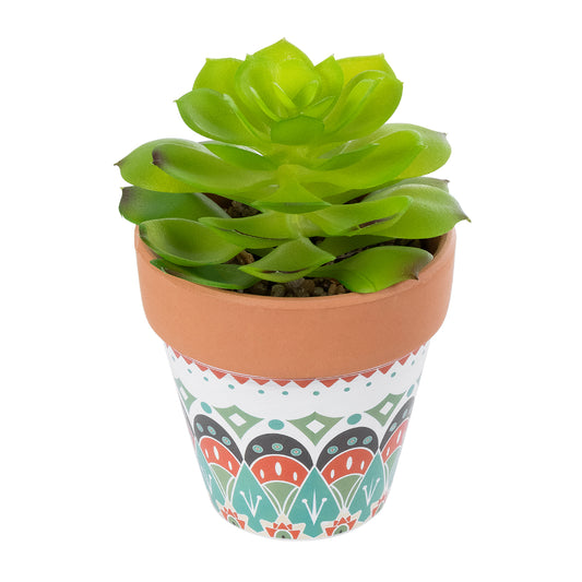 SUCCULENT ECHEVERIA 21049 Διακοσμητικό Φυτό Παχύφυτο Εχεβέρια Υ14cm