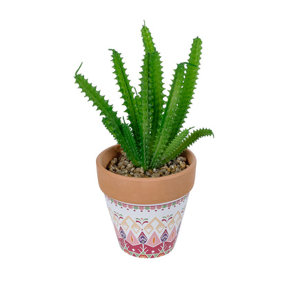 SUCCULENT EUPHORBIA POTTED PLANT 21052 Διακοσμητικό Φυτό Ευφορβία Φ18 x Υ23cm