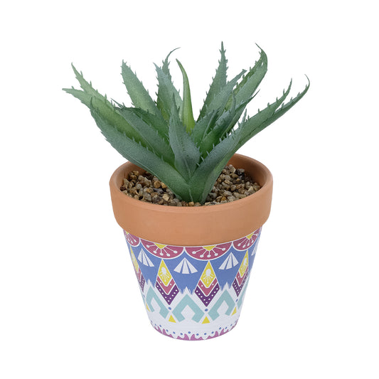 SUCCULENT ALOE POTTED PLANT 21053 Διακοσμητικό Φυτό Αλόη Φ15 x Υ19cm