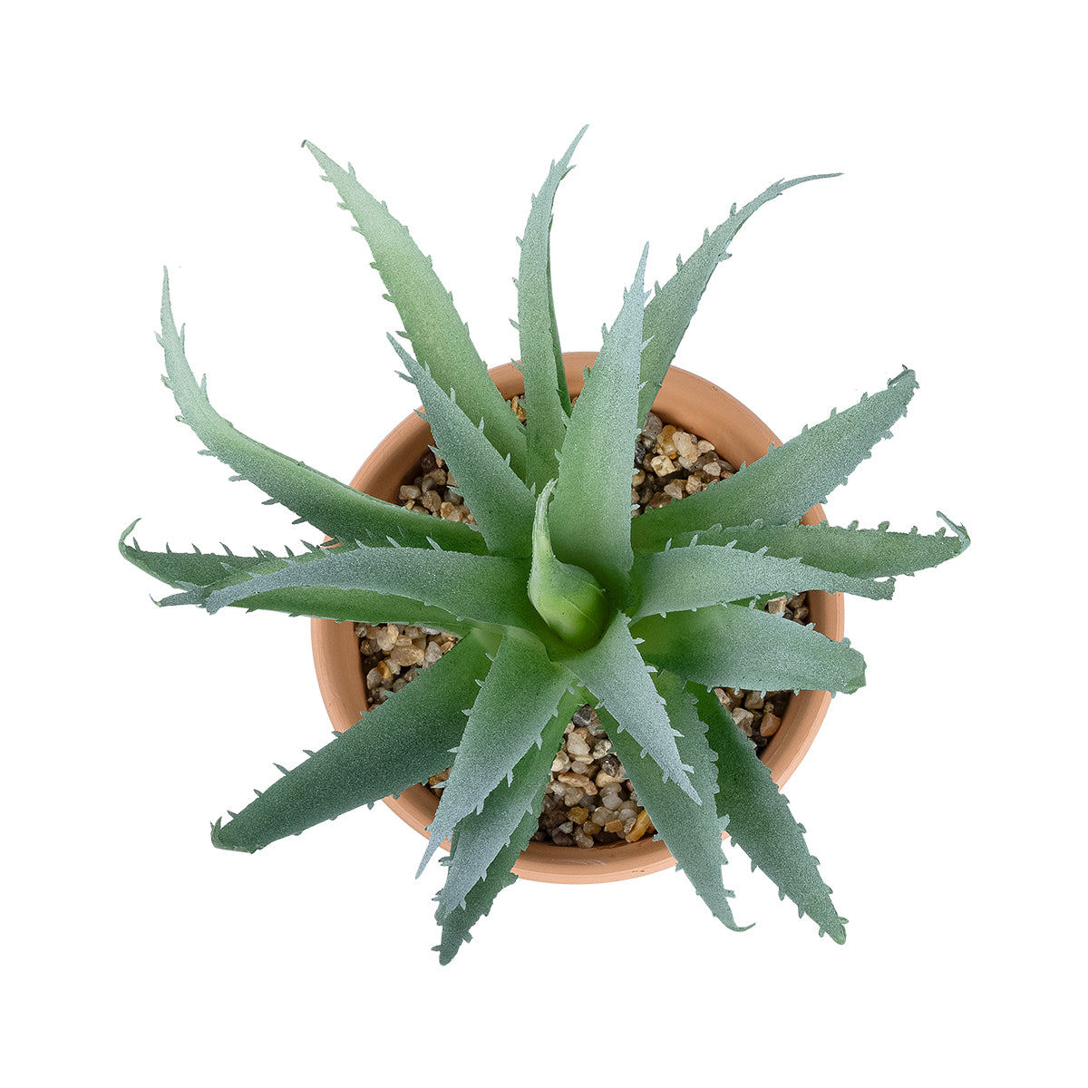 SUCCULENT ALOE POTTED PLANT 21053 Διακοσμητικό Φυτό Αλόη Φ15 x Υ19cm