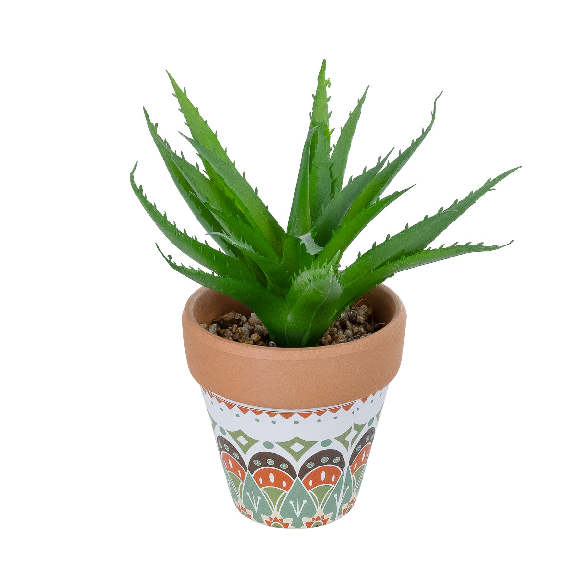 SUCCULENT ALOE POTTED PLANT 21054 Διακοσμητικό Φυτό Αλόη Φ15 x Υ19cm