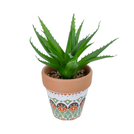 SUCCULENT ALOE POTTED PLANT 21054 Διακοσμητικό Φυτό Αλόη Φ15 x Υ19cm