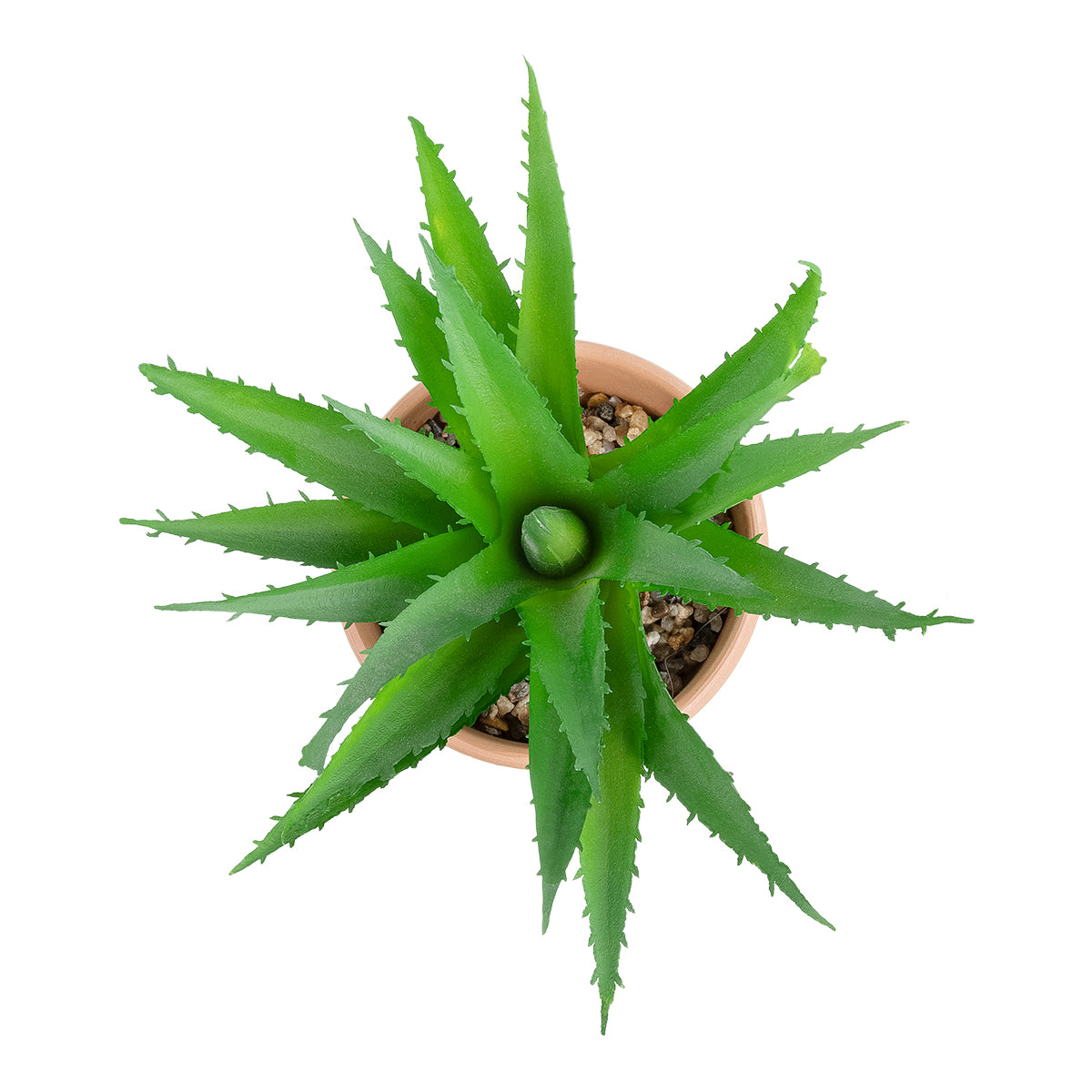 SUCCULENT ALOE POTTED PLANT 21054 Διακοσμητικό Φυτό Αλόη Φ15 x Υ19cm