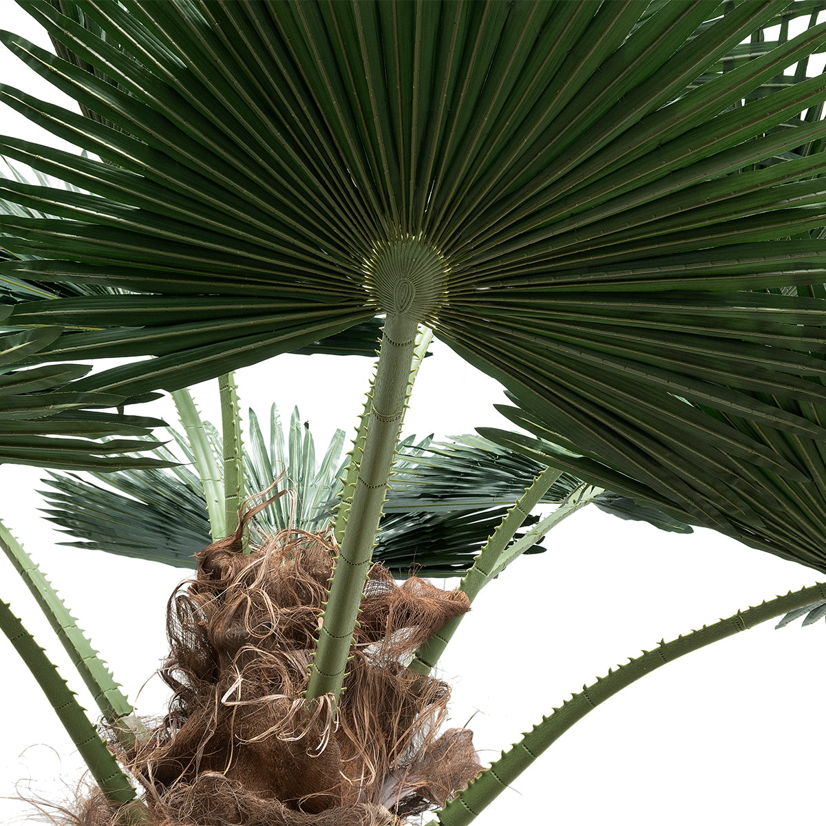 PLANT PALM TREE 21057 Διακοσμητικό Δέντρο Φοίνικα Φ240 x Υ600cm