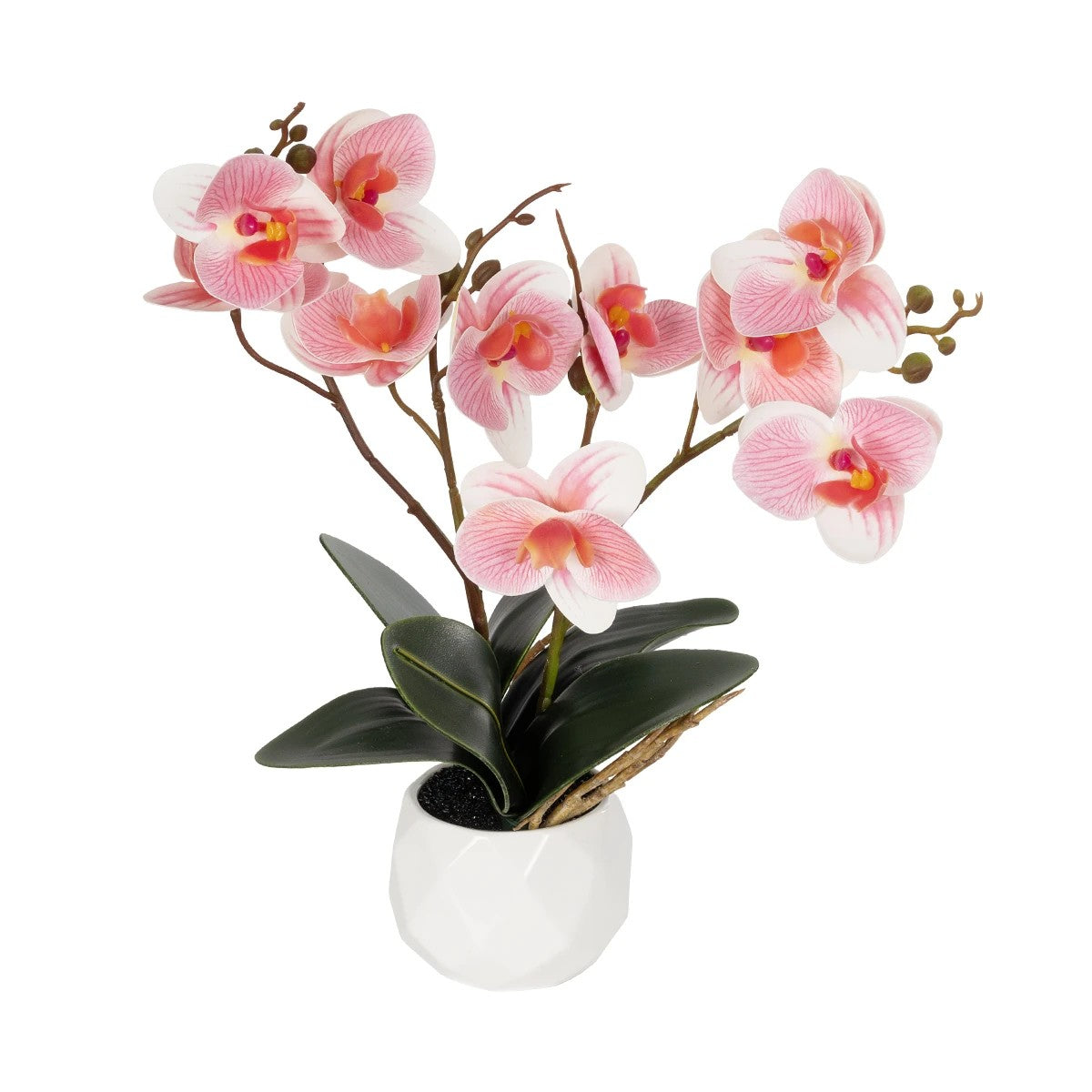 PINK ORCHID 21075 Διακοσμητικό Φυτό Ροζ Ορχιδέα Υ30cm