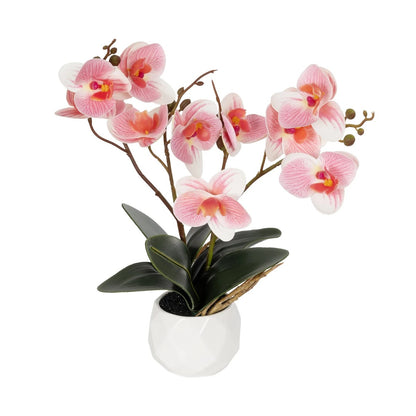 PINK ORCHID 21075 Διακοσμητικό Φυτό Ροζ Ορχιδέα Υ30cm