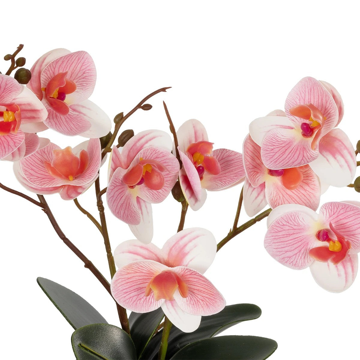 PINK ORCHID 21075 Διακοσμητικό Φυτό Ροζ Ορχιδέα Υ30cm