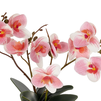 PINK ORCHID 21075 Διακοσμητικό Φυτό Ροζ Ορχιδέα Υ30cm