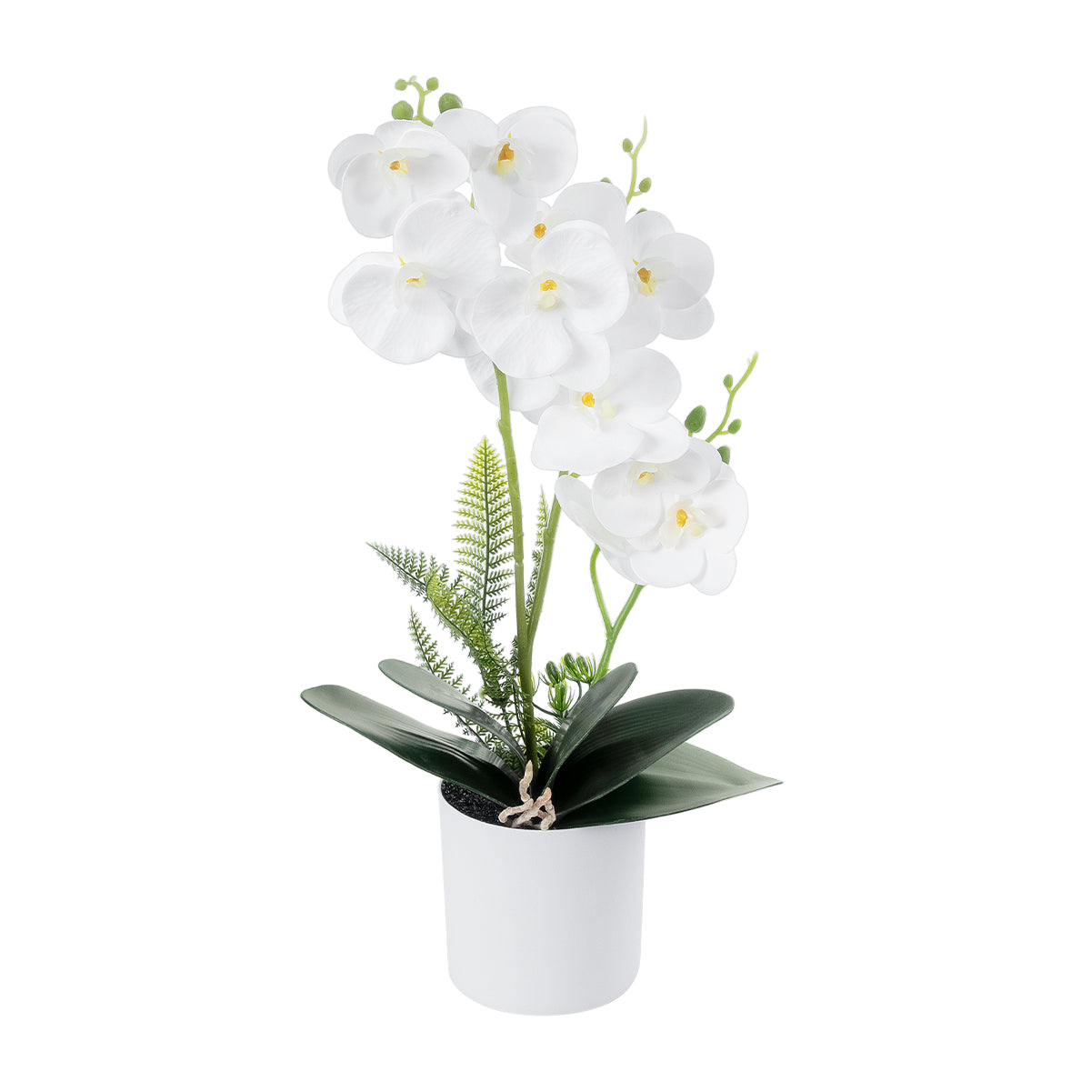 WHITE ORCHID 21076 Διακοσμητικό Φυτό Λευκή Ορχιδέα Υ45cm