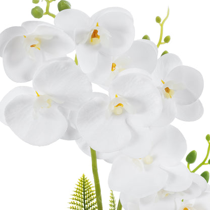 WHITE ORCHID 21076 Διακοσμητικό Φυτό Λευκή Ορχιδέα Υ45cm