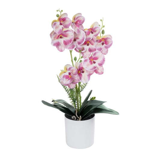 PINK ORCHID 21077 Διακοσμητικό Φυτό Ροζ Ορχιδέα Υ45cm