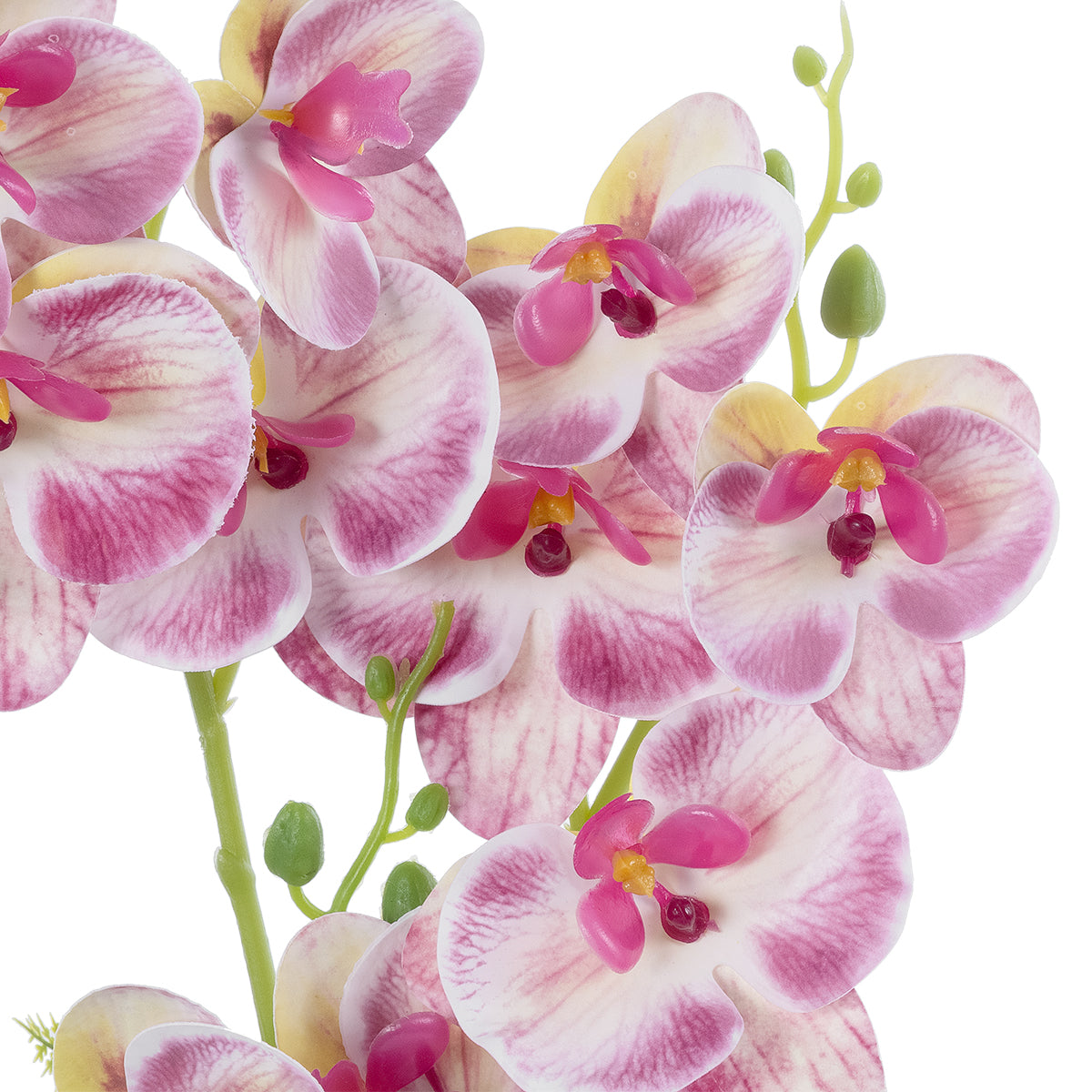 PINK ORCHID 21077 Διακοσμητικό Φυτό Ροζ Ορχιδέα Υ45cm