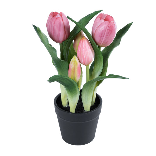 PINK TULIP 21092 Διακοσμητικό Φυτό Ροζ Τουλίπα Υ23cm