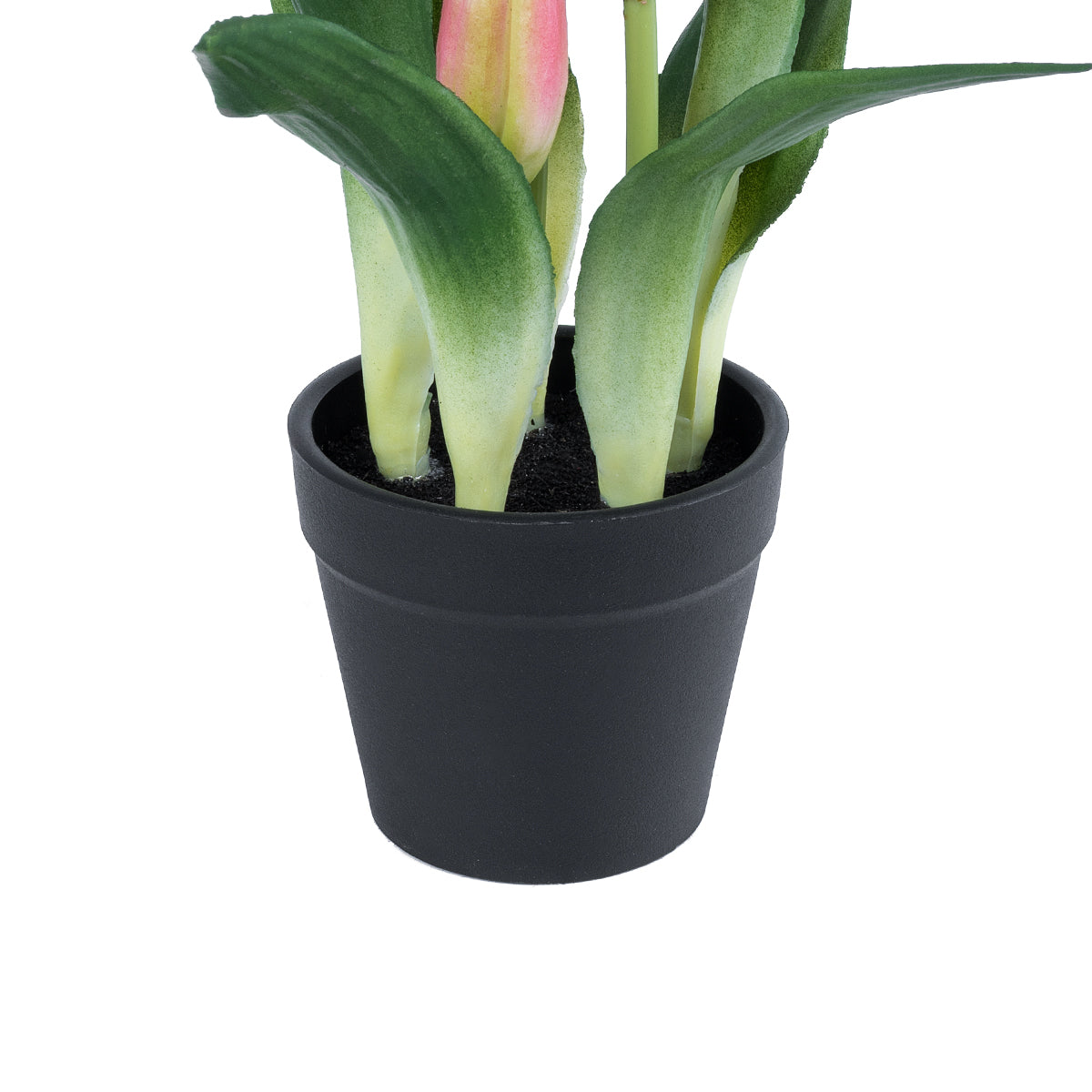 PINK TULIP 21092 Διακοσμητικό Φυτό Ροζ Τουλίπα Υ23cm