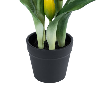 YELLOW TULIP 21093 Διακοσμητικό Φυτό Κίτρινη Τουλίπα Υ23cm