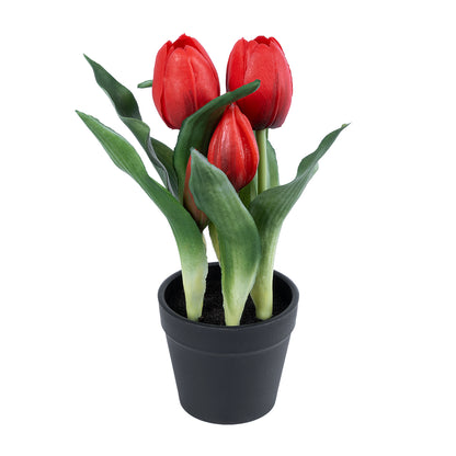 RED TULIP 21094 Διακοσμητικό Φυτό Κόκκινη Τουλίπα Υ23cm