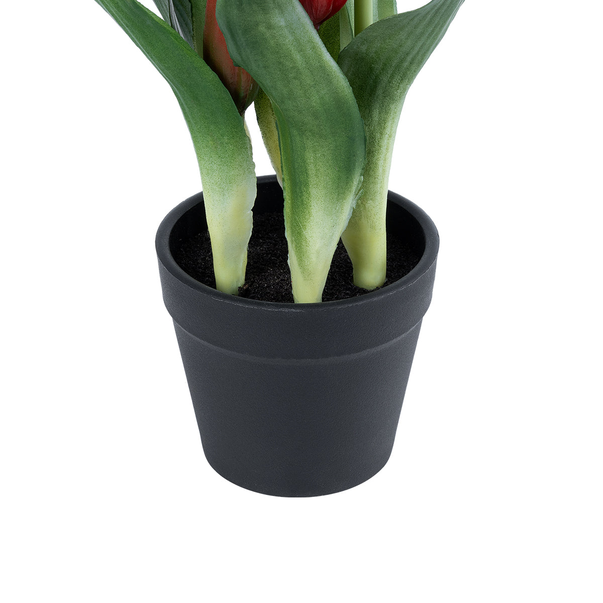 RED TULIP 21094 Διακοσμητικό Φυτό Κόκκινη Τουλίπα Υ23cm