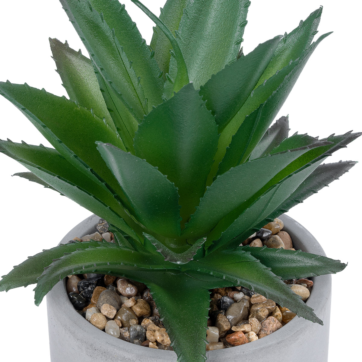 SUCCULENT ALOE 21096 Διακοσμητικό Φυτό Παχύφυτο Αλόη Υ17cm