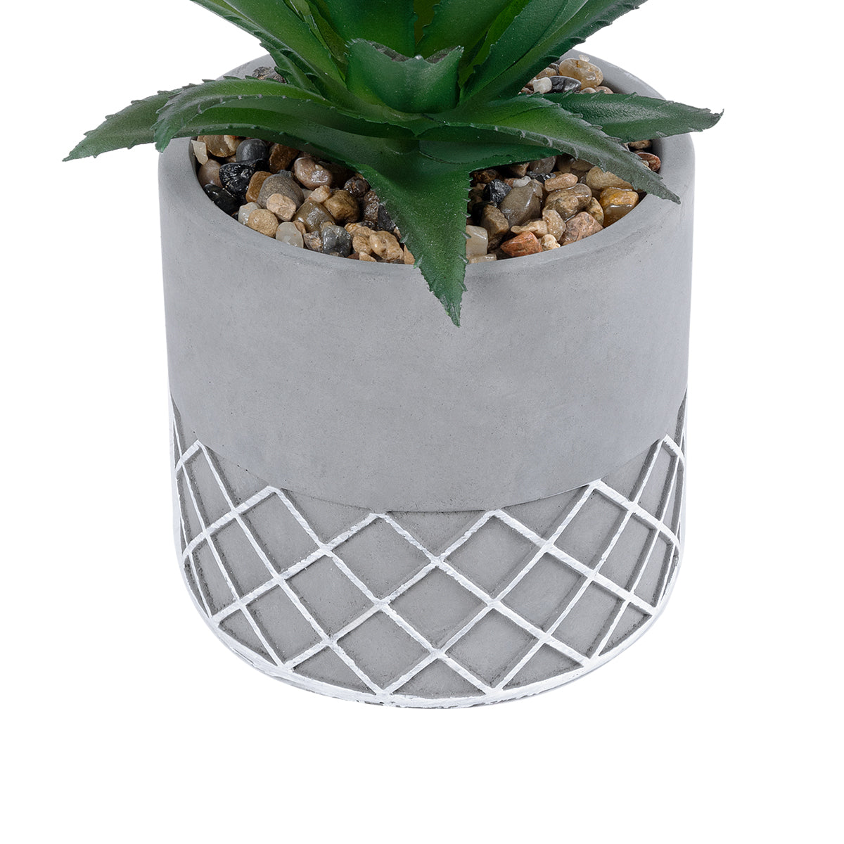 SUCCULENT ALOE 21096 Διακοσμητικό Φυτό Παχύφυτο Αλόη Υ17cm