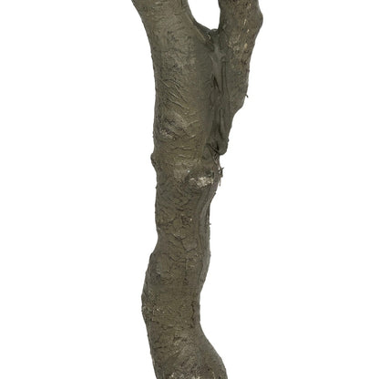 LEMON TREE 21106 Τεχνητό Διακοσμητικό Δέντρο Λεμονιά Υ200cm