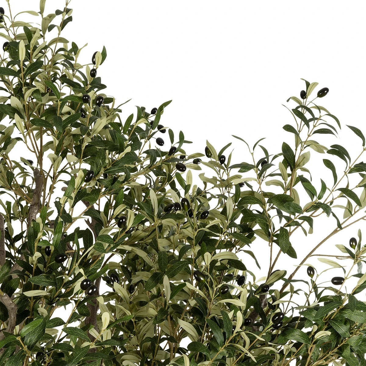 OLIVE TREE 21112 Τεχνητό Διακοσμητικό Δέντρο Ελιά Υ220cm