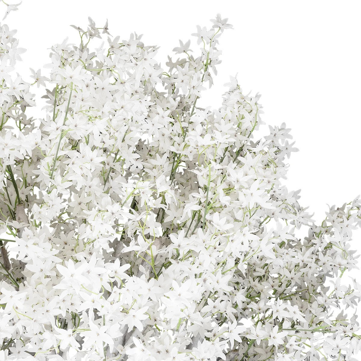 ALMOND TREE 21113 Τεχνητό Διακοσμητικό Δέντρο Αμυγδαλιά Μ65 x Π60 x Υ200