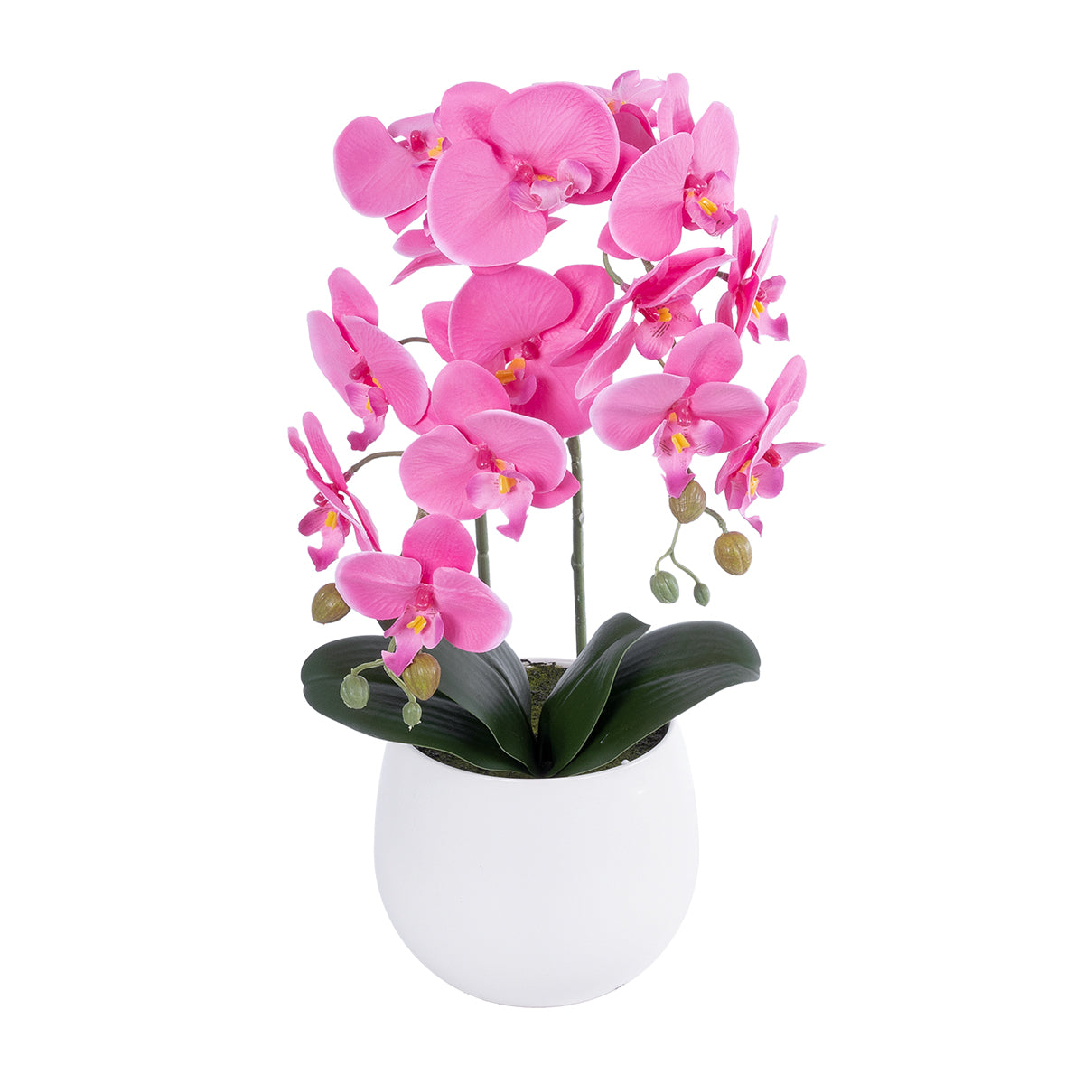 PINK ORCHID 21116 Διακοσμητικό Φυτό Ροζ Ορχιδέα Υ45cm