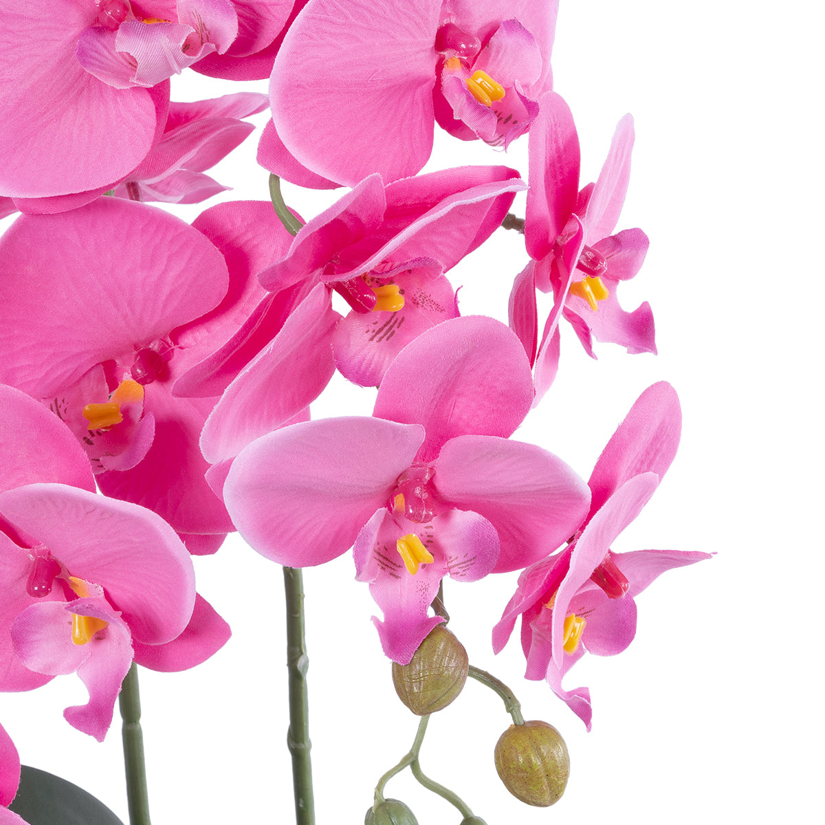 PINK ORCHID 21116 Διακοσμητικό Φυτό Ροζ Ορχιδέα Υ45cm