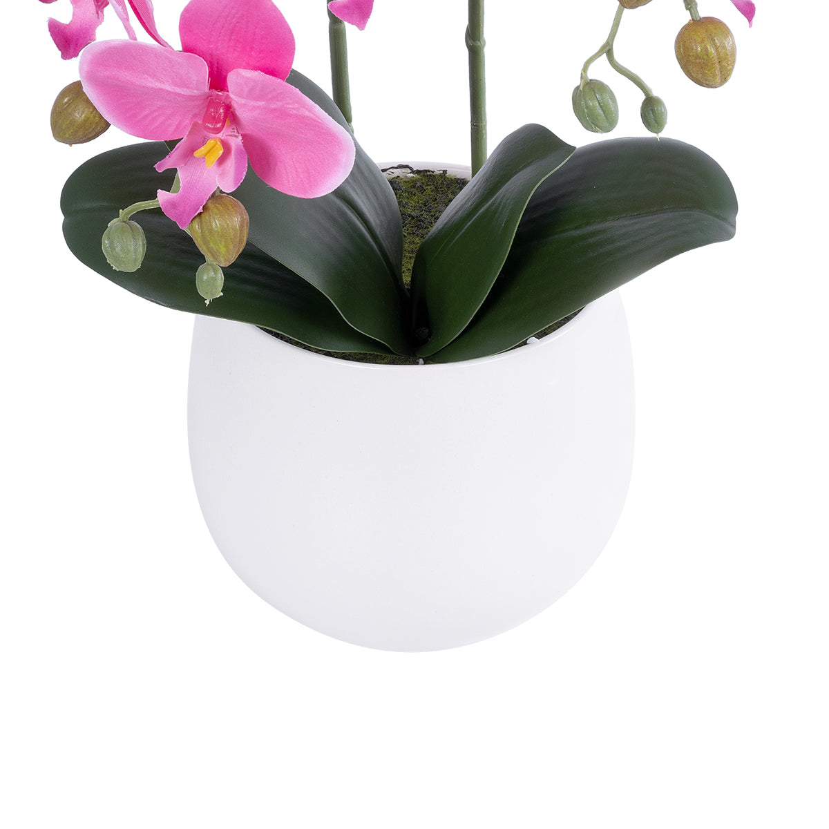 PINK ORCHID 21116 Διακοσμητικό Φυτό Ροζ Ορχιδέα Υ45cm