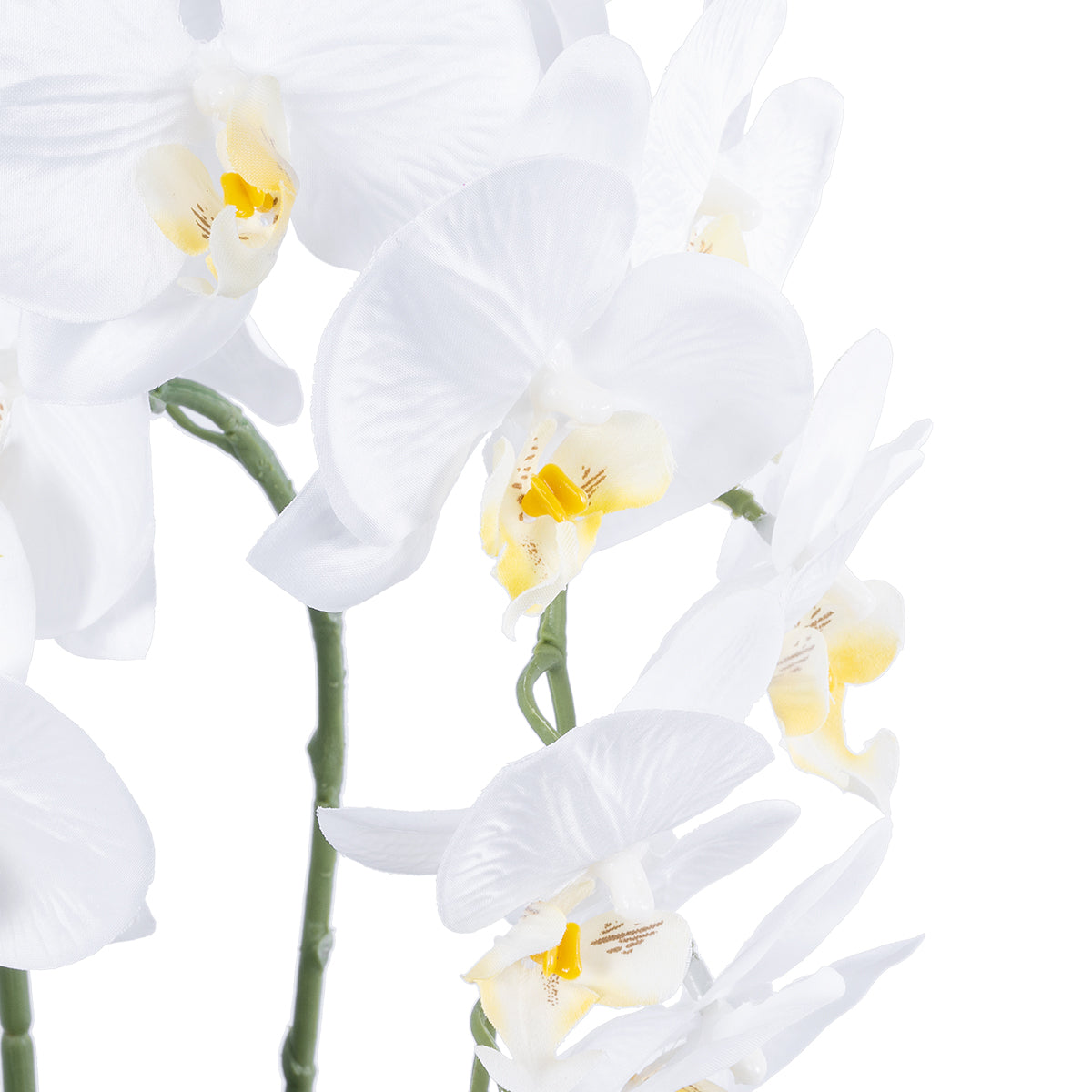 WHITE ORCHID 21117 Διακοσμητικό Φυτό Λευκή Ορχιδέα Υ45cm