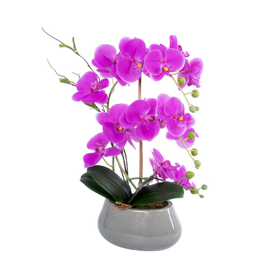 HOT PINK ORCHID 21119 Διακοσμητικό Φυτό Έντονο Ροζ Ορχιδέα Υ43cm