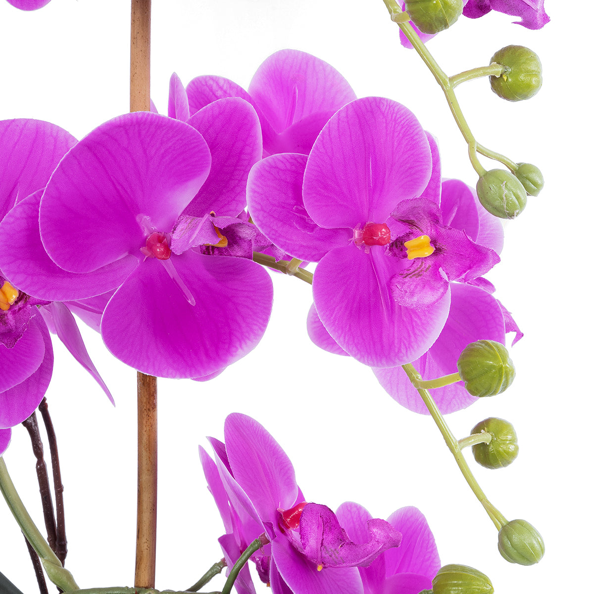 HOT PINK ORCHID 21119 Διακοσμητικό Φυτό Έντονο Ροζ Ορχιδέα Υ43cm