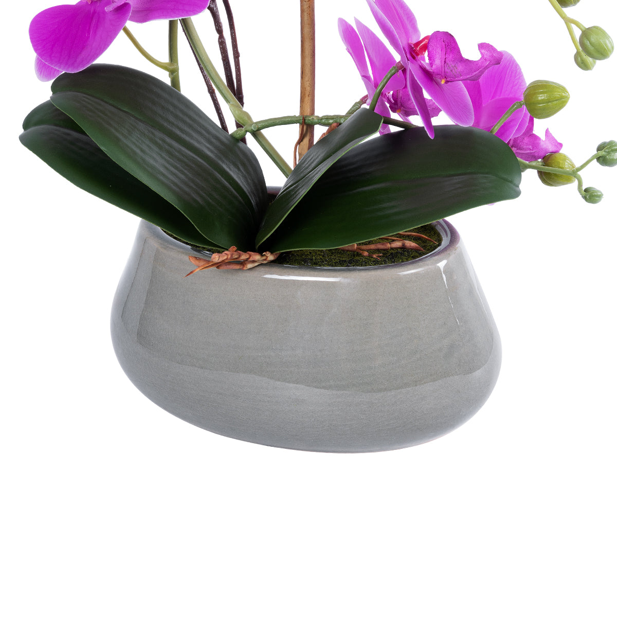 HOT PINK ORCHID 21119 Διακοσμητικό Φυτό Έντονο Ροζ Ορχιδέα Υ43cm