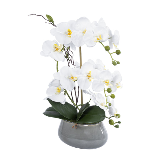 WHITE ORCHID 21120 Διακοσμητικό Φυτό Λευκή Ορχιδέα Υ43cm